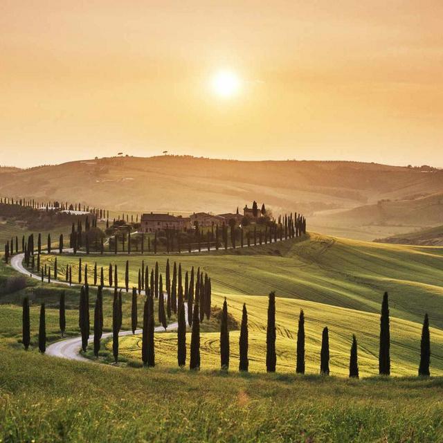 Private Winery Tour in Tuscany