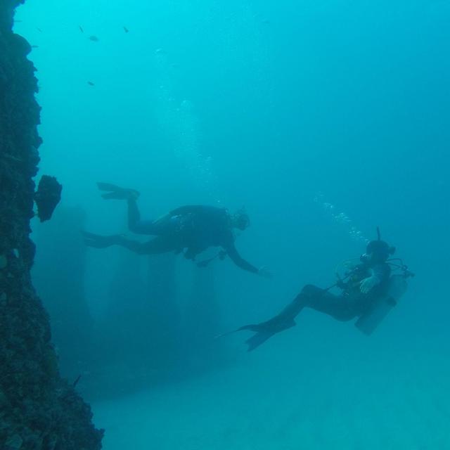 Honeymoon Scuba Dives