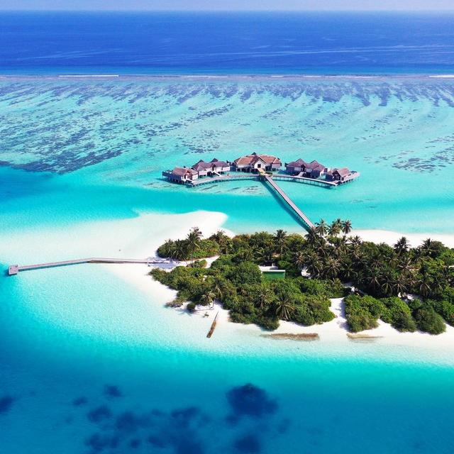 Honeymoon Fund