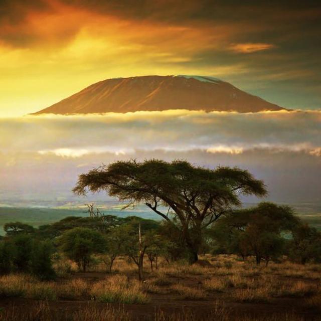Mt. Kilimanjaro Sunset Game Drive