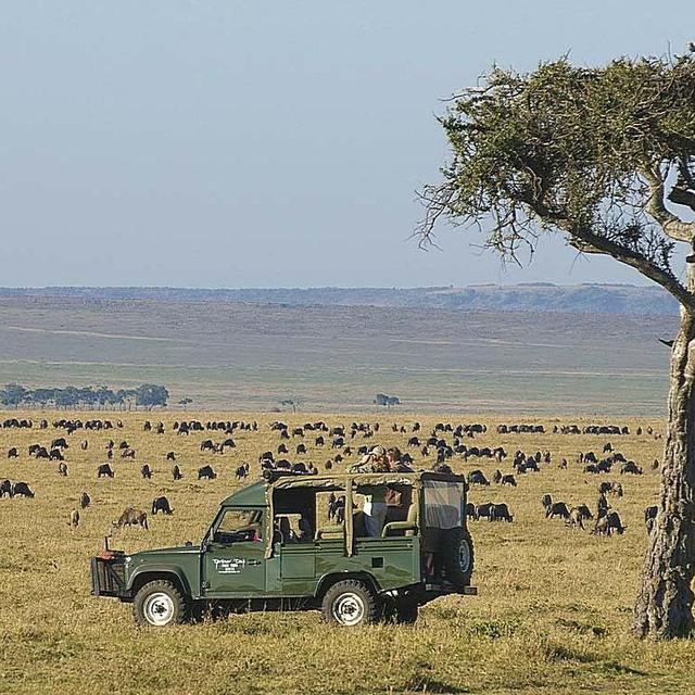 Three Nights in the Masai Mara