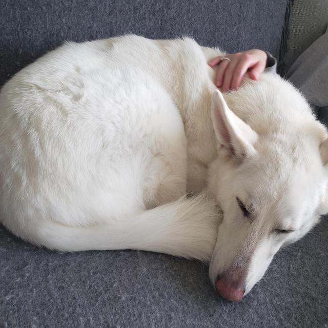 Creature (she deserves it!)