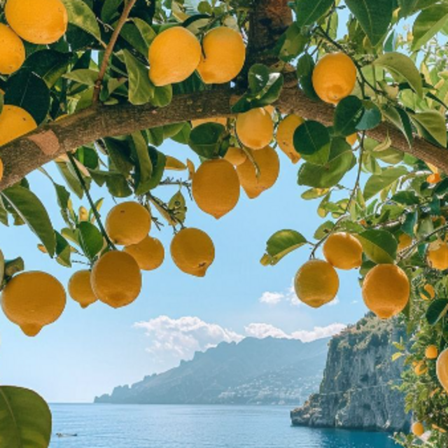 Honeymoon Hotels