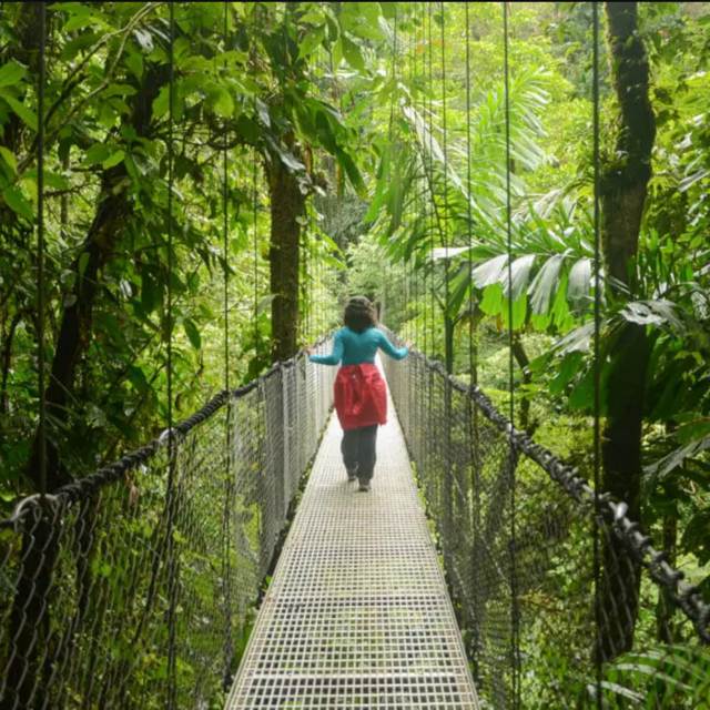 Mistico Arenal Hanging Bridges Park Tour