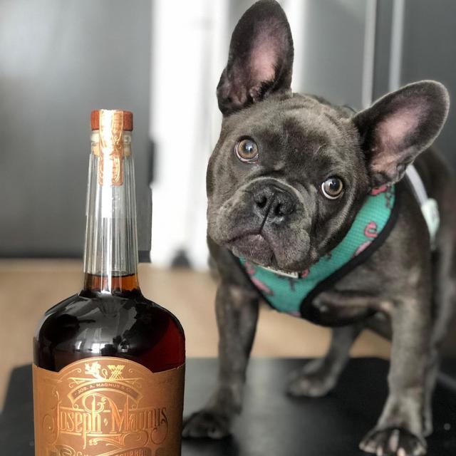 Pet Hotel For Winifred