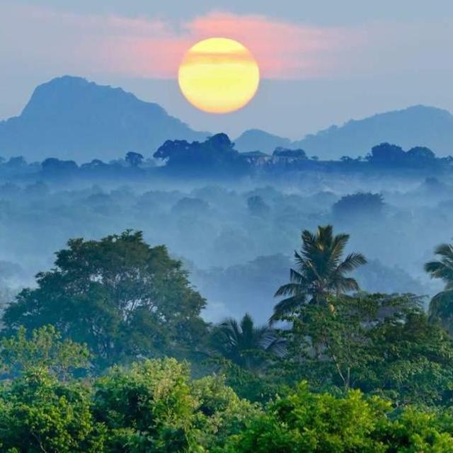 Honeymoon in Sri Lanka!