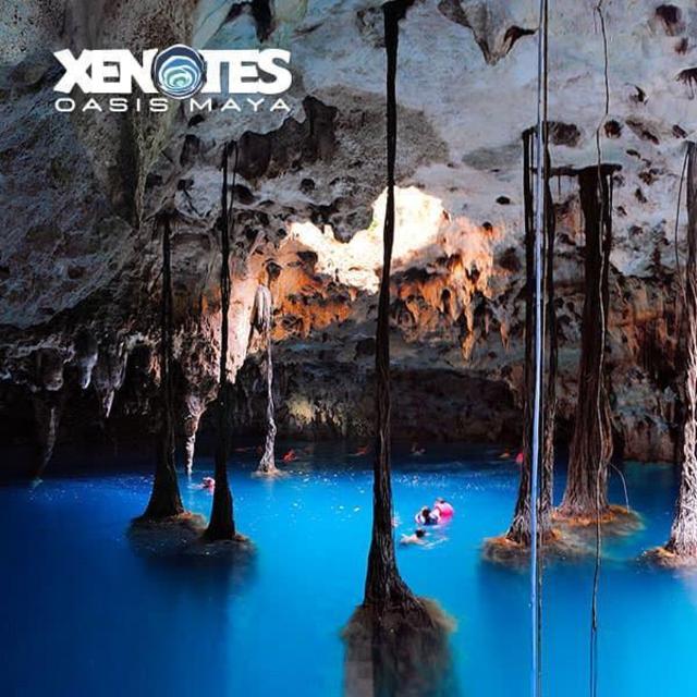Xenotes Tour and Snorkeling Excursion