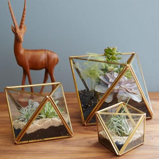 Planters + Terrariums
