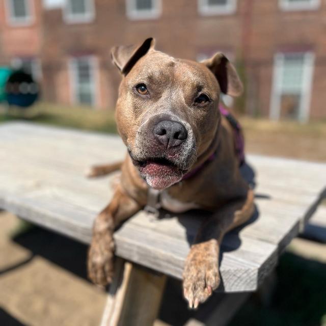 Cash fund for Zuko&Willow’s hotel stay