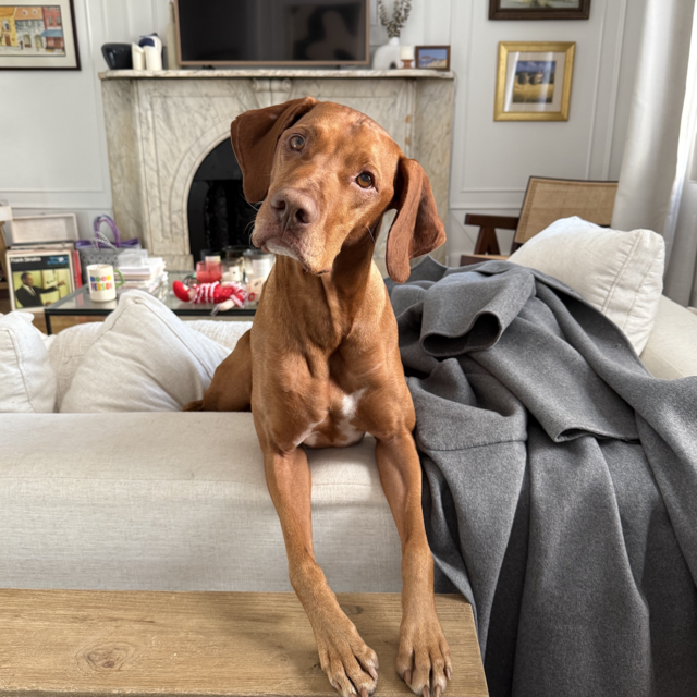 Help Pay For My Daycare!