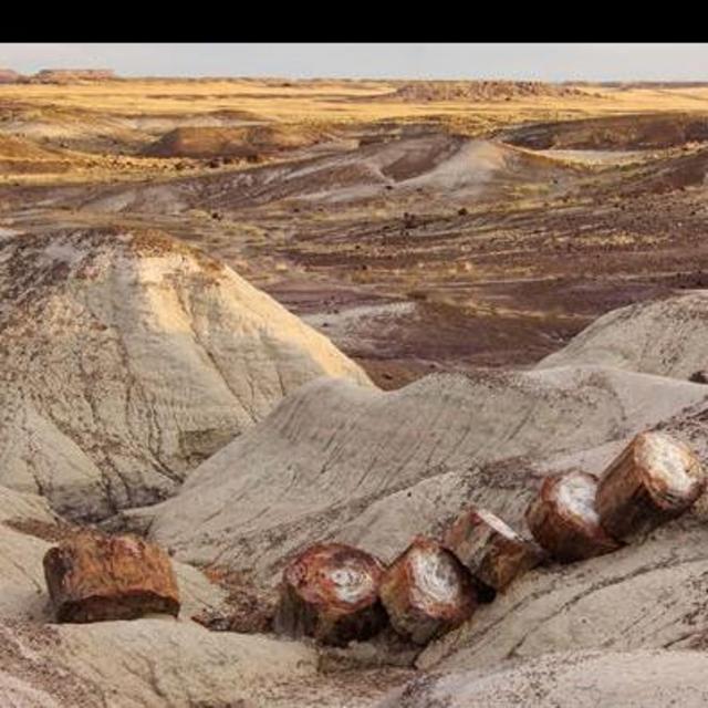 Petrified Forest National Park Entry Fee