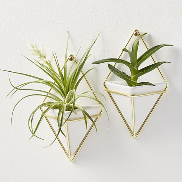 set of 2 trigg small wall vases