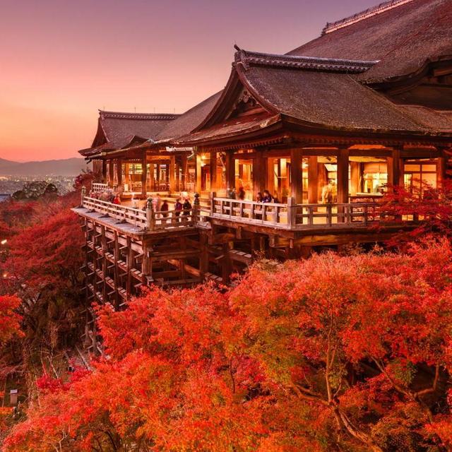 Guided Tour of Kyoto's Temples and Shrines