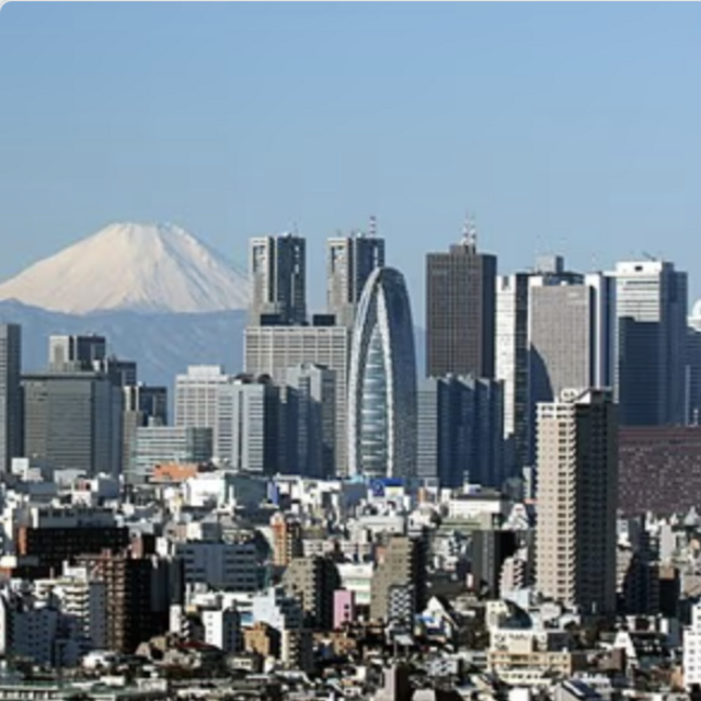 Sightseeing Tour of Tokyo