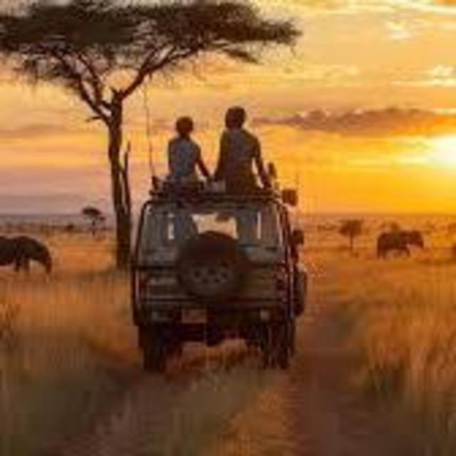 Honeymoon - African Safari