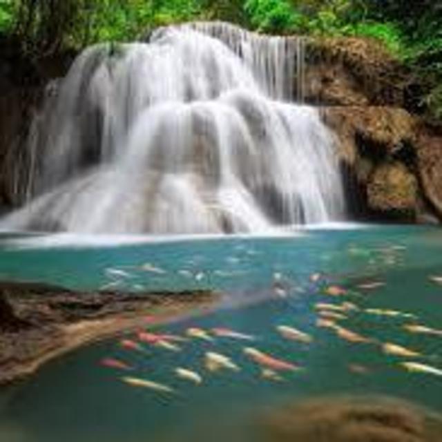Checking off waterfalls in Thailand's National Parks