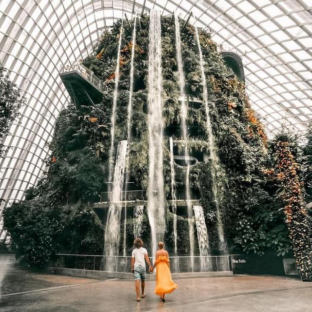 Cloud Forest Exhibit