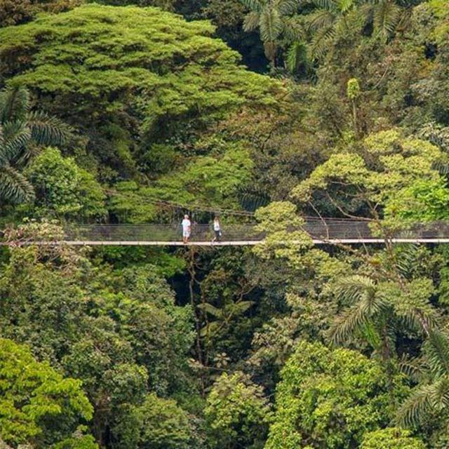 Honeymoon Excursion - Mystic Hanging Bridges