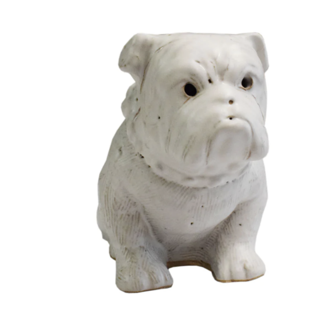 Large Bulldog White