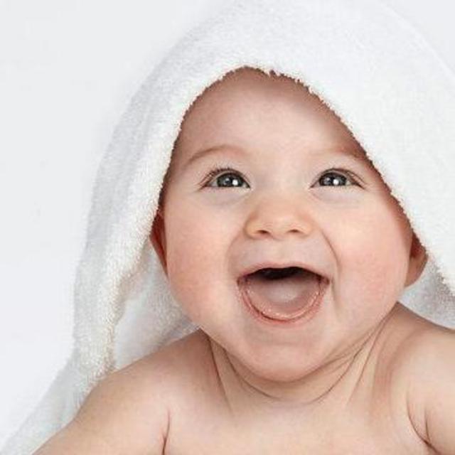 IVF Fund