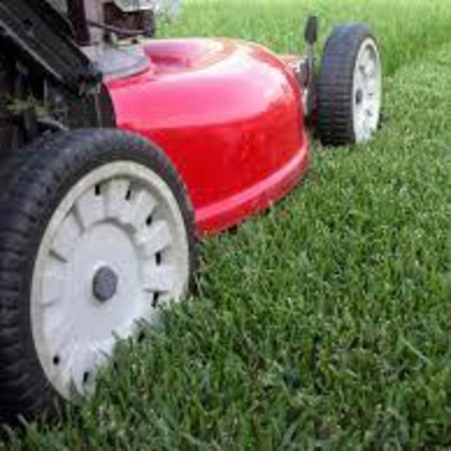 Lawn Care for a Year