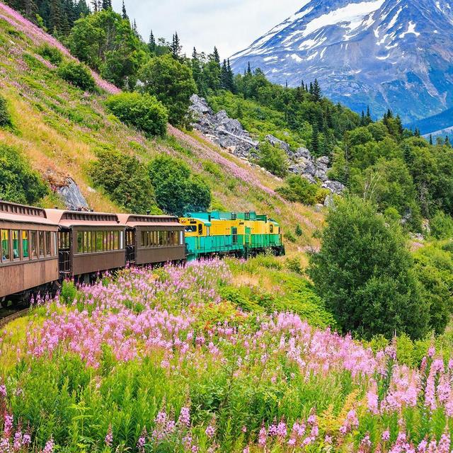 Alaska Trip Honeymoon Fund