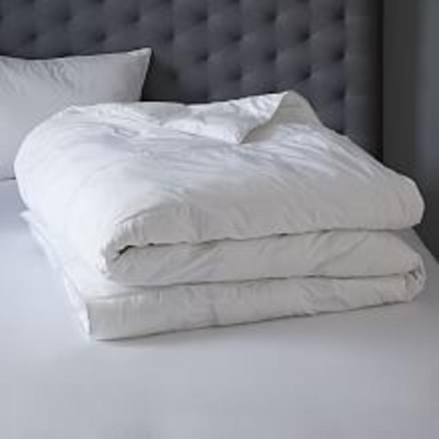 European Down Duvet Cover Insert, Full/Queen