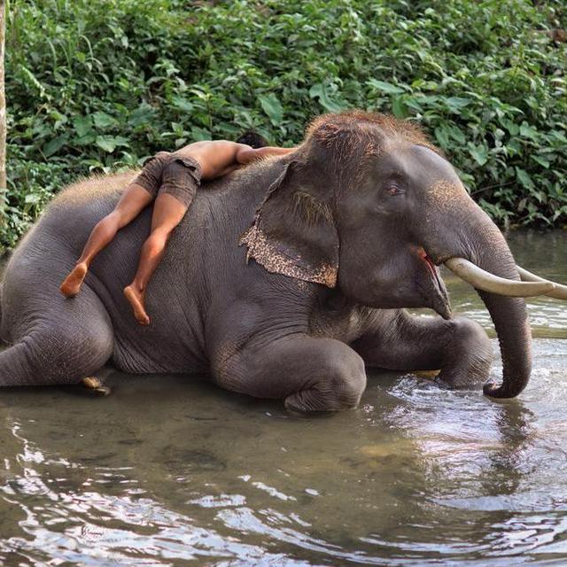 Honeymoon Adventures