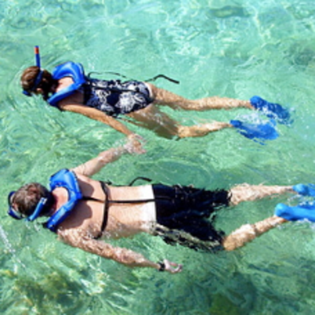 Snorkel Cruise and Exploration