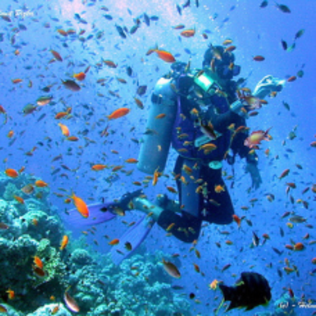 Scuba Diving Expedition