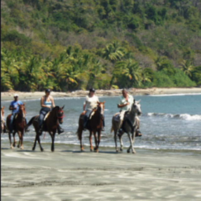 Punta Cana by Horseback