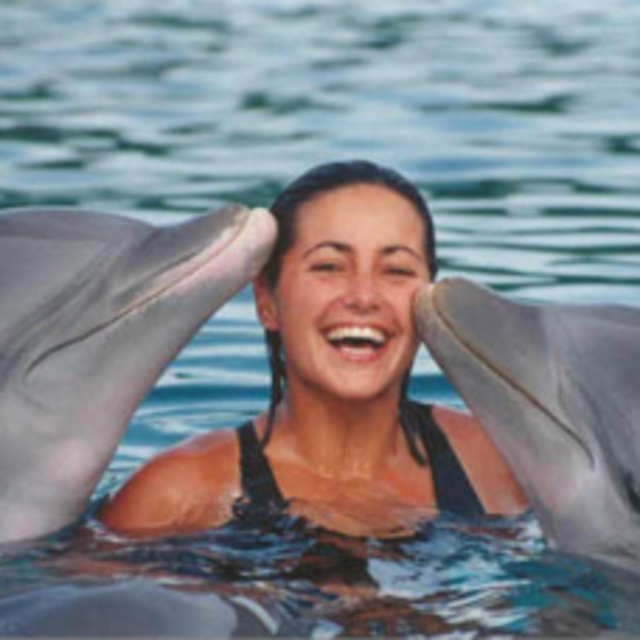 Swimming with the Dolphins