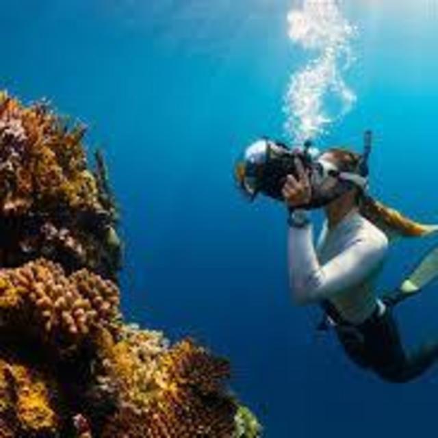 Snorkeling Day in Seychelles