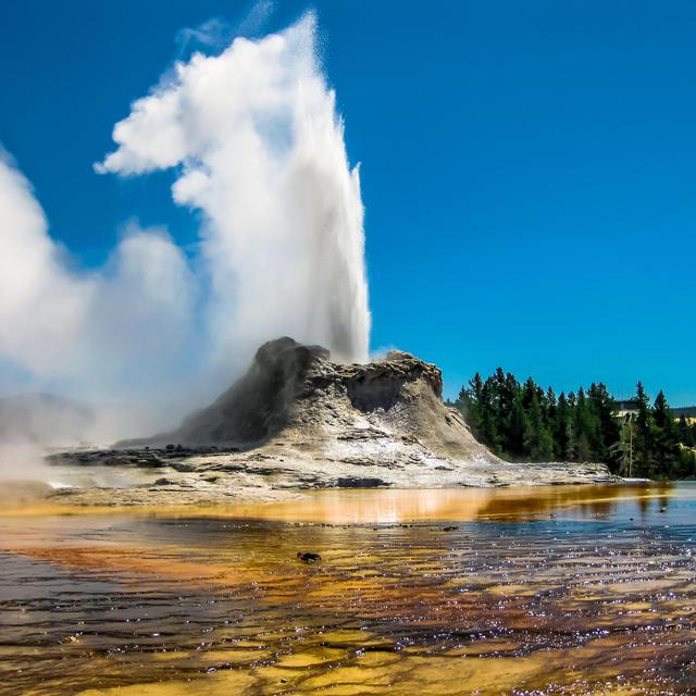 Round Trip to Yellowstone National Park.