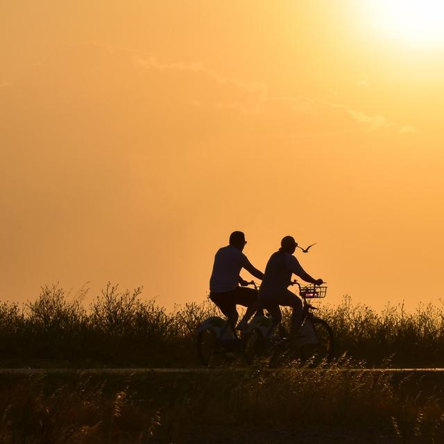 AAAA Bike Shop Gift Certificates, Ventnor, NJ