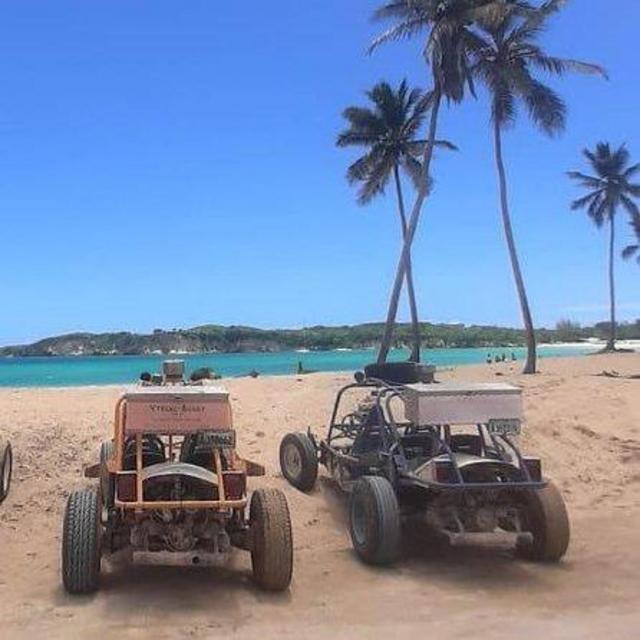 Dune buggy off-roading excursion
