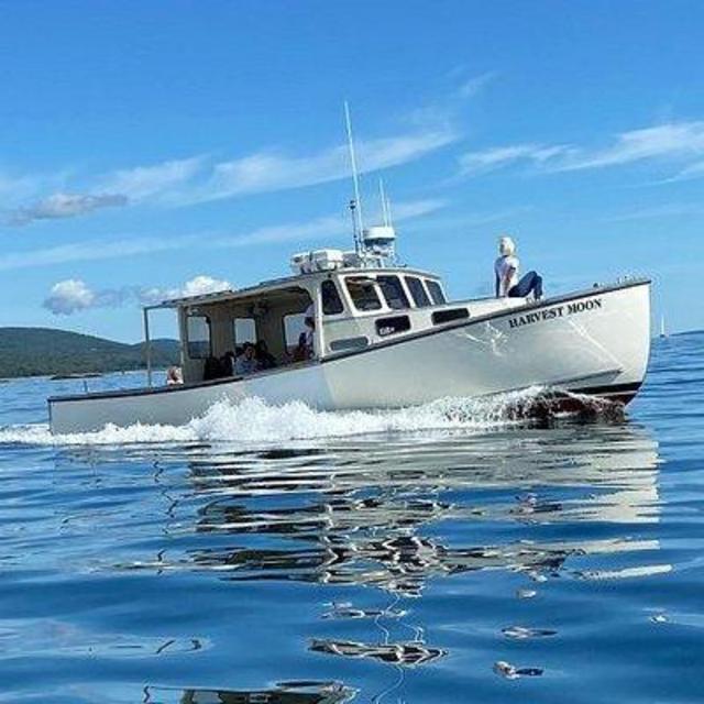 Honeymoon Experience: Sightseeing Boat Toar