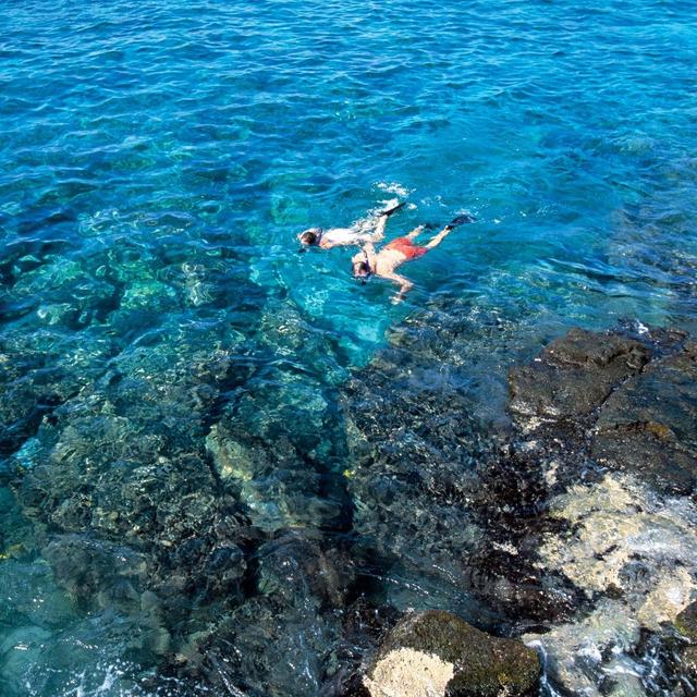 Guided Snorkel Tour to Pu'u Keka'a