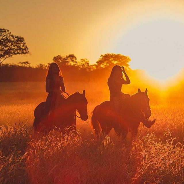 Horseback Riding