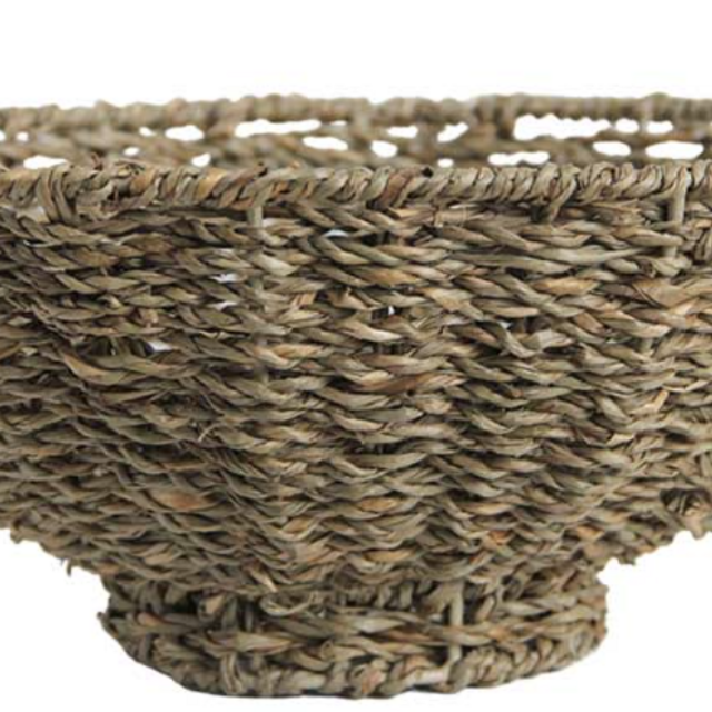 Search our collections