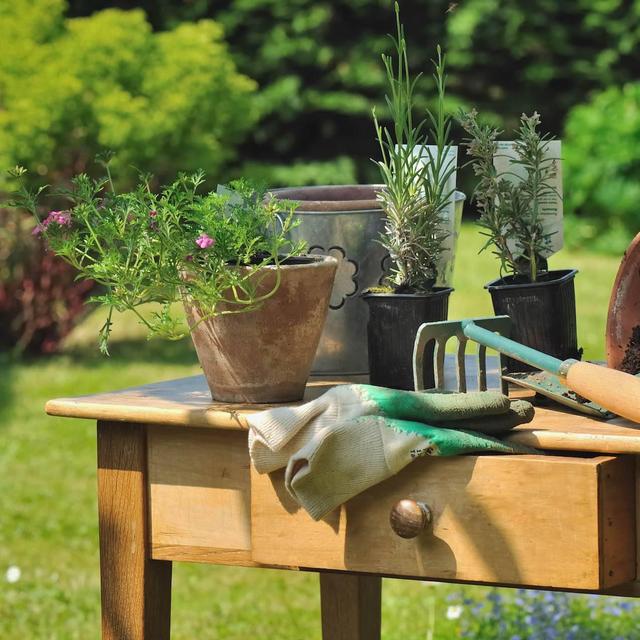 Garden Supplies