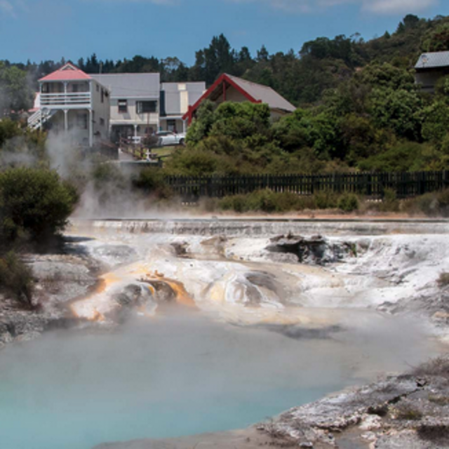 Whakarewarewa Village Tour