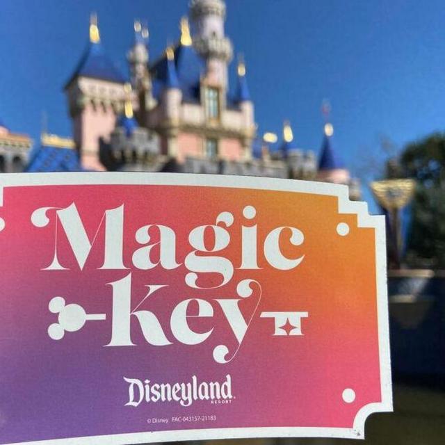 Disneyland Magic Key (Year Pass)