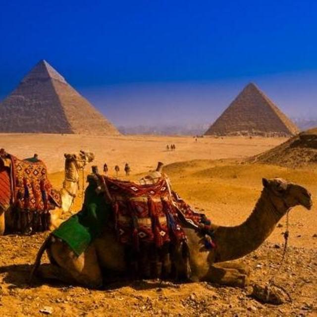 Honeymoon On The Nile