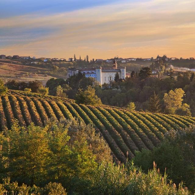 Wine tasting in Tuscany