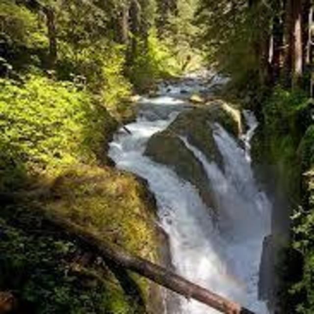 Olympic National Park Pass (Annual)