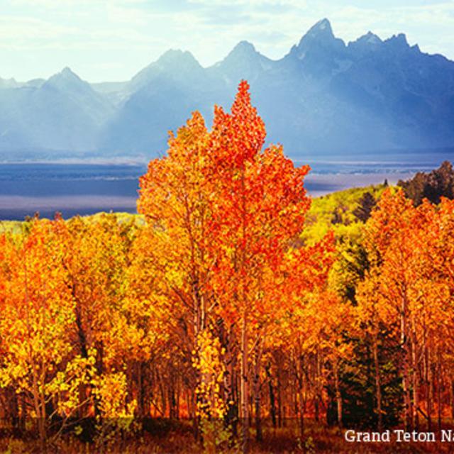 Support the National Park Foundation