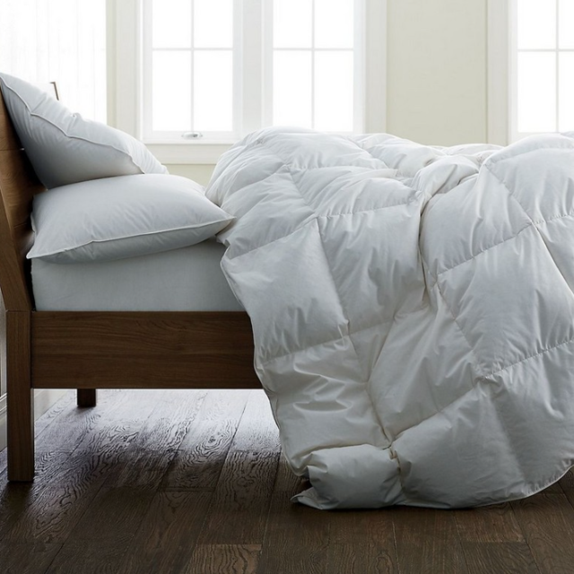 Organic Cotton RDS Down Comforter - Queen, WHITE