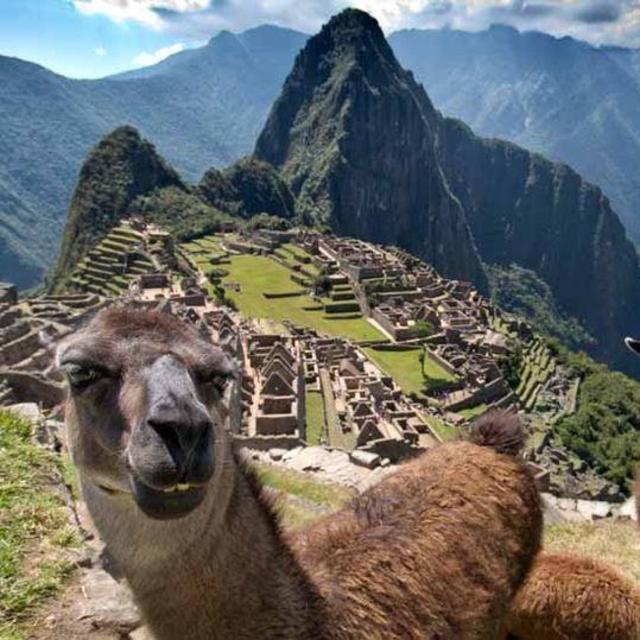 Dream #1: Honeymoon in South America