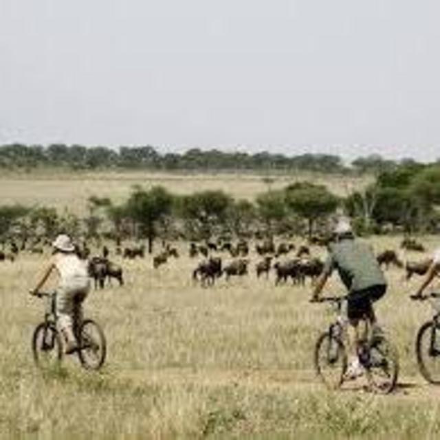 Bike Safari in Laikipia